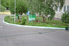 Цветение дождливого июня...