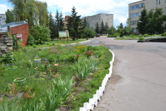 Цветение дождливого июня...