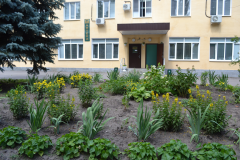 Цветение дождливого июня...