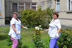 20150702-Клумбы