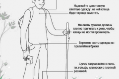Клещ