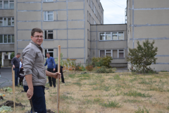Закладка аллеи