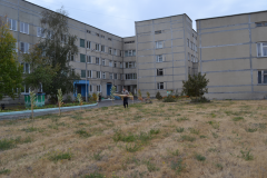 Закладка аллеи