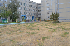 Закладка аллеи
