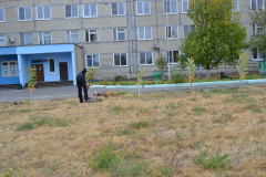Закладка аллеи