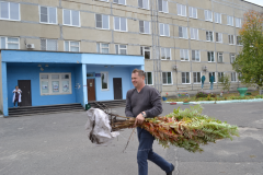Закладка аллеи