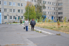 Закладка аллеи