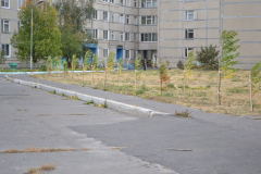 Закладка аллеи