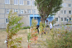 Закладка аллеи