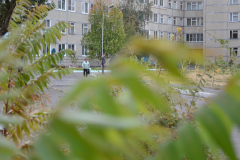 Закладка аллеи