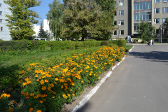 Информация за минувшую неделю