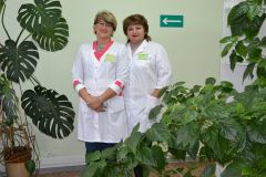 Информация за минувшую неделю
