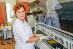 Информация за минувшую неделю