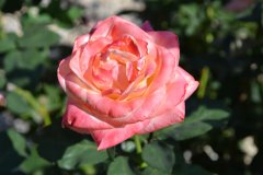 20210901-news-01