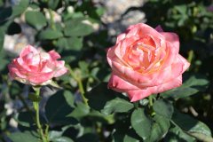 20210929-news-01